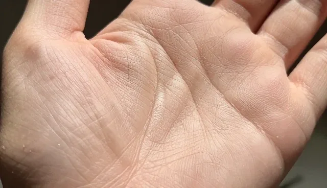 应用开发选型中的业务趋势与实际应对策略
