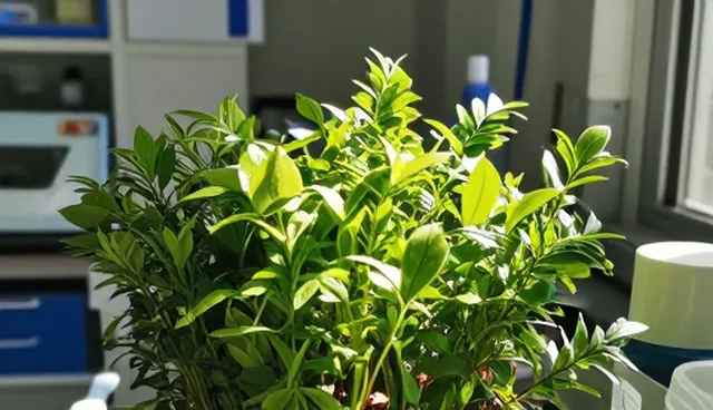 方案设计中性能优化与适用条件的匹配策略